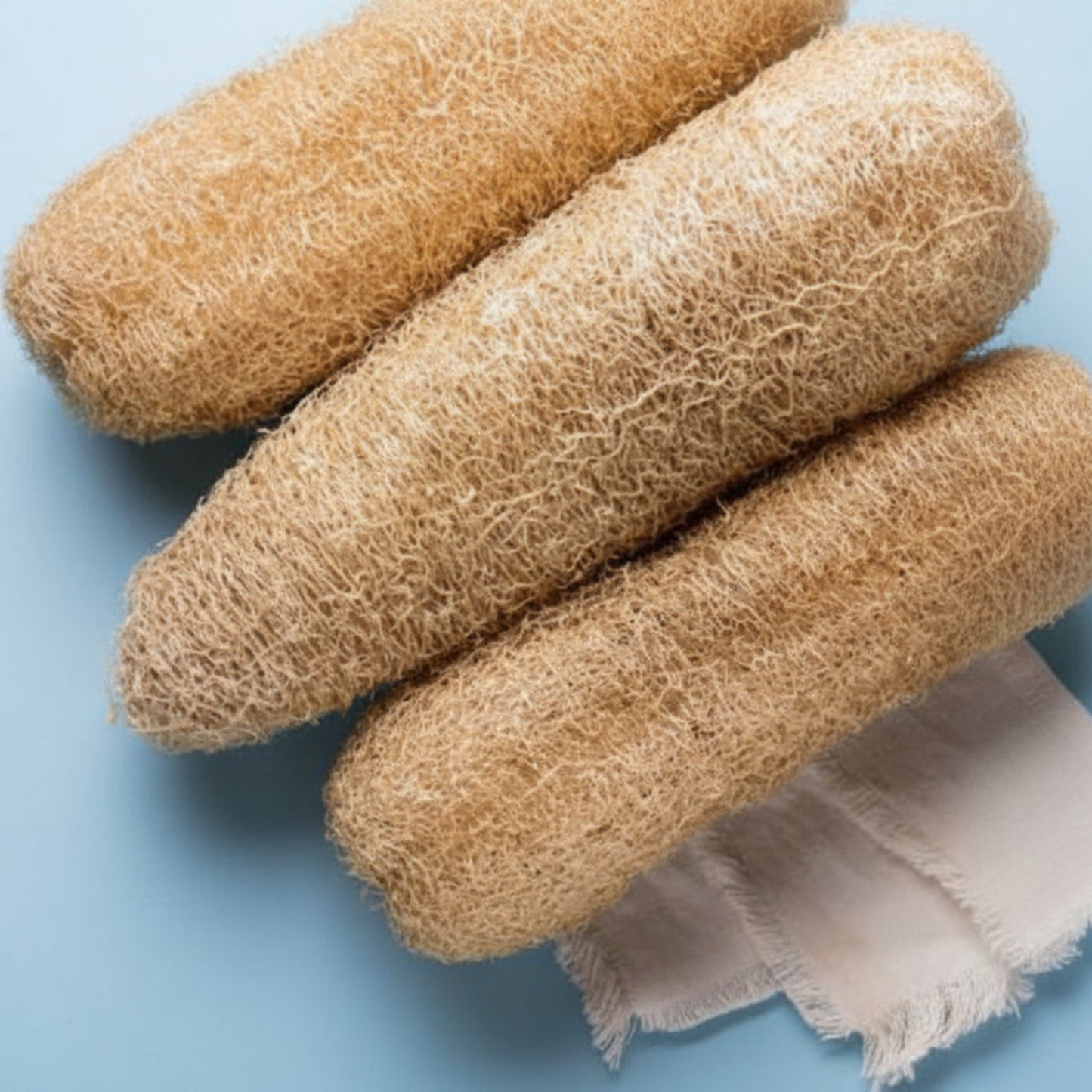 Natural Loofah TandL Kreations